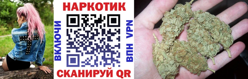 Псилоцибиновые грибы Сальск
