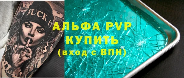 гашик Арсеньев